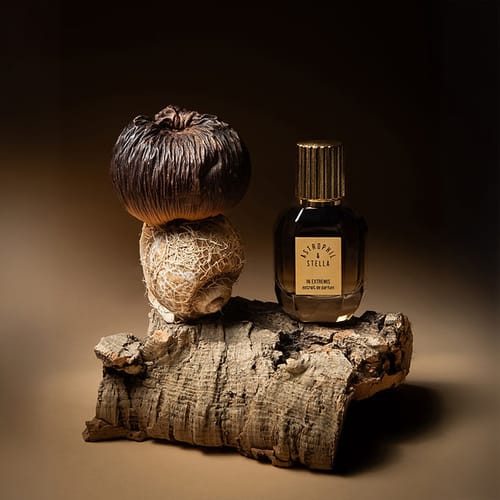 Customer photo review of ASTROPHIL E STELLA - IN EXTREMIS