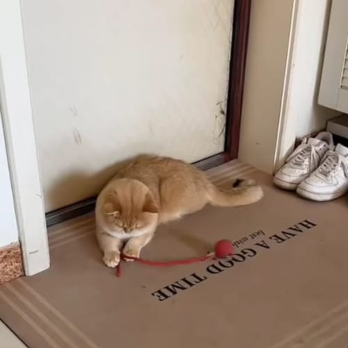 Kundenbewertung – Foto