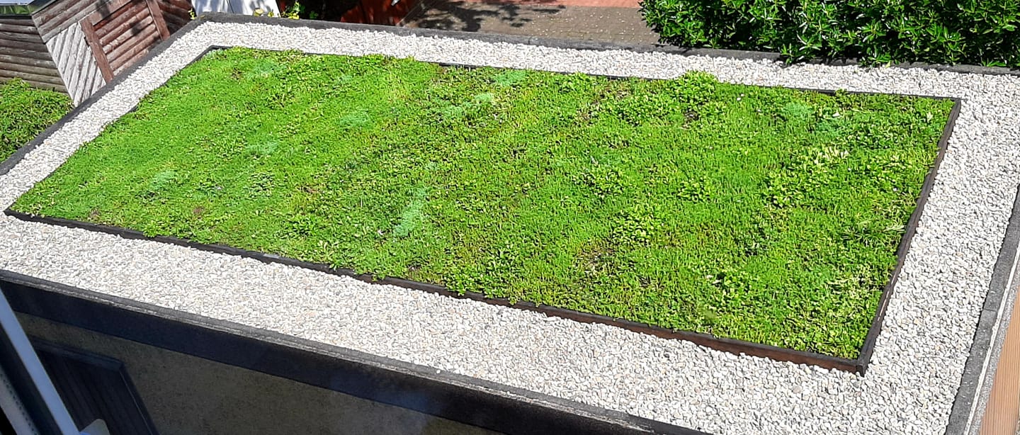 Customer photo review of Sedum-Mix Sedummatten