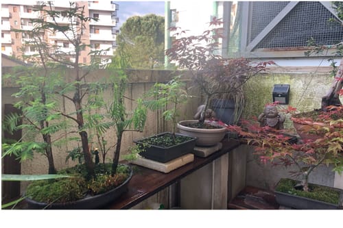 Customer photo review of MIRACLE CB® (Starter primaverile di nuova generazione)