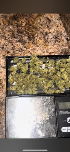 Customer photo review of Candy Gas THCA Flower