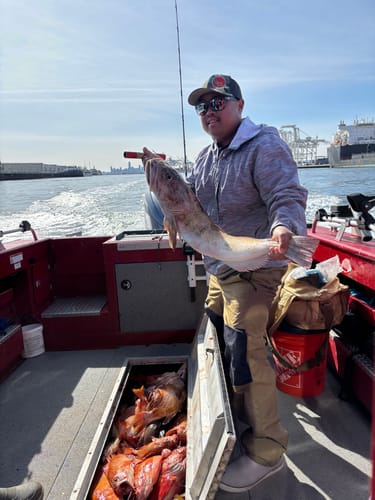 Customer photo review of Fisherman's Life® Vertical Jigs 100g, 150g, 200g, 300g FOUR COLORS available