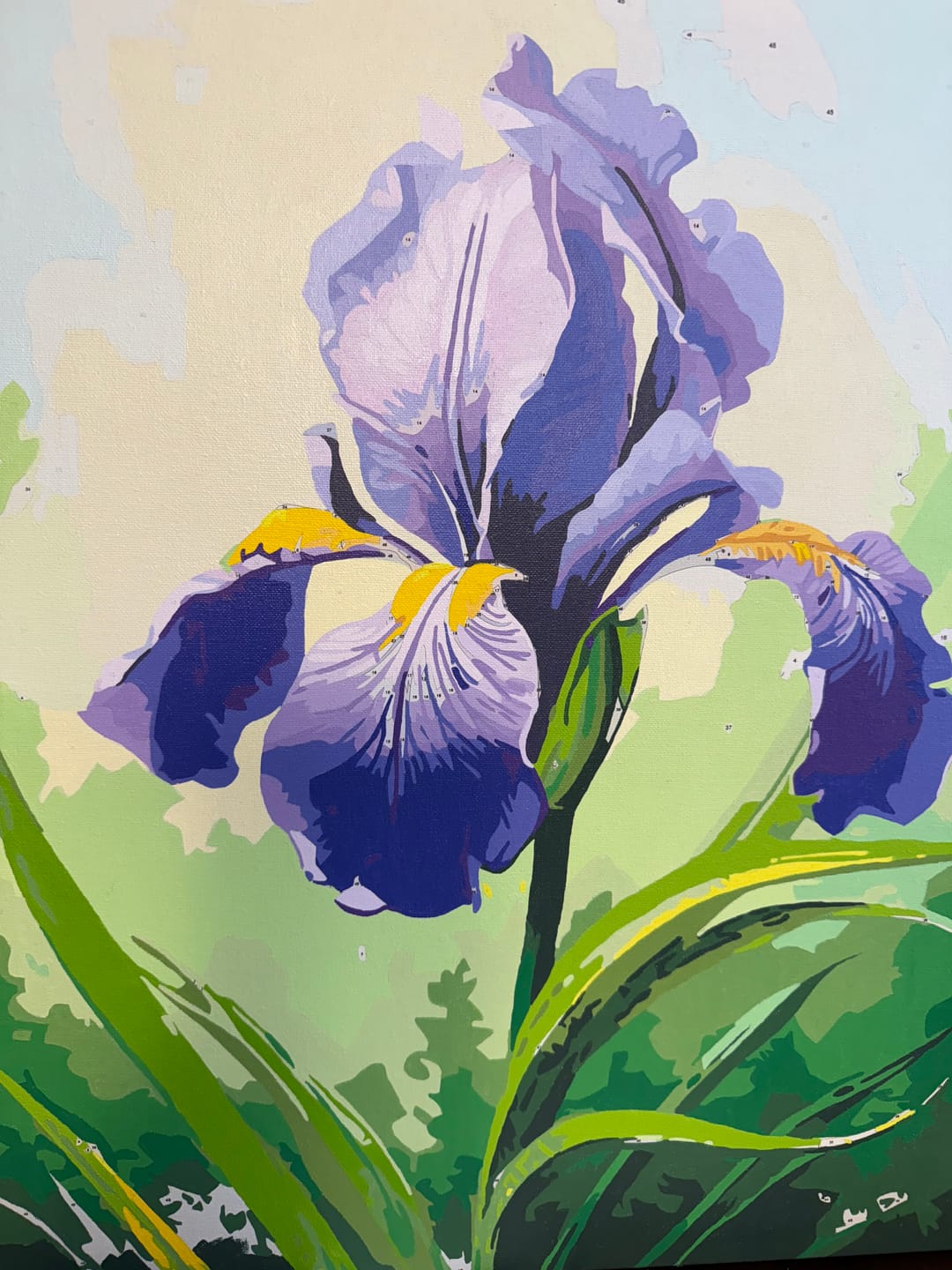 Customer photo review of Sunlit Iris