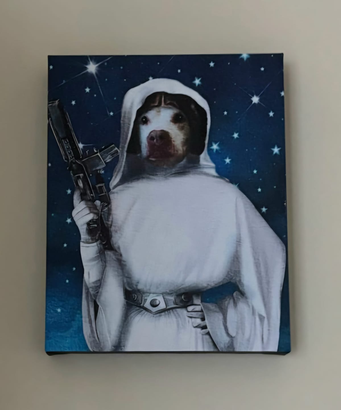 Customer photo review of Princess of the Galaxy Custom Pet Portrait
