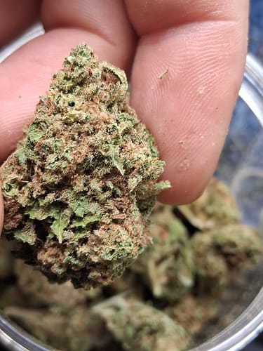 Customer photo review of Blue Dream THCA Flower