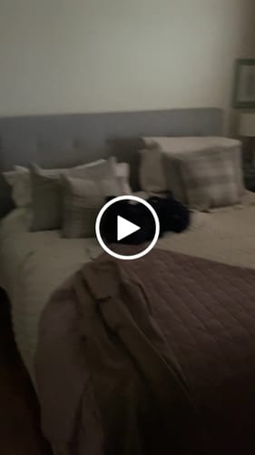 Customer video review of Wooden Wall Panel | Natural Oak | Premium 3-sided Wood Veneer