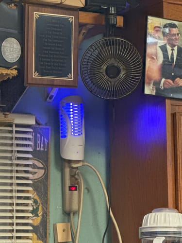 Customer photo review of BuzzTrap Refills (8-Pack) Sticky Pads