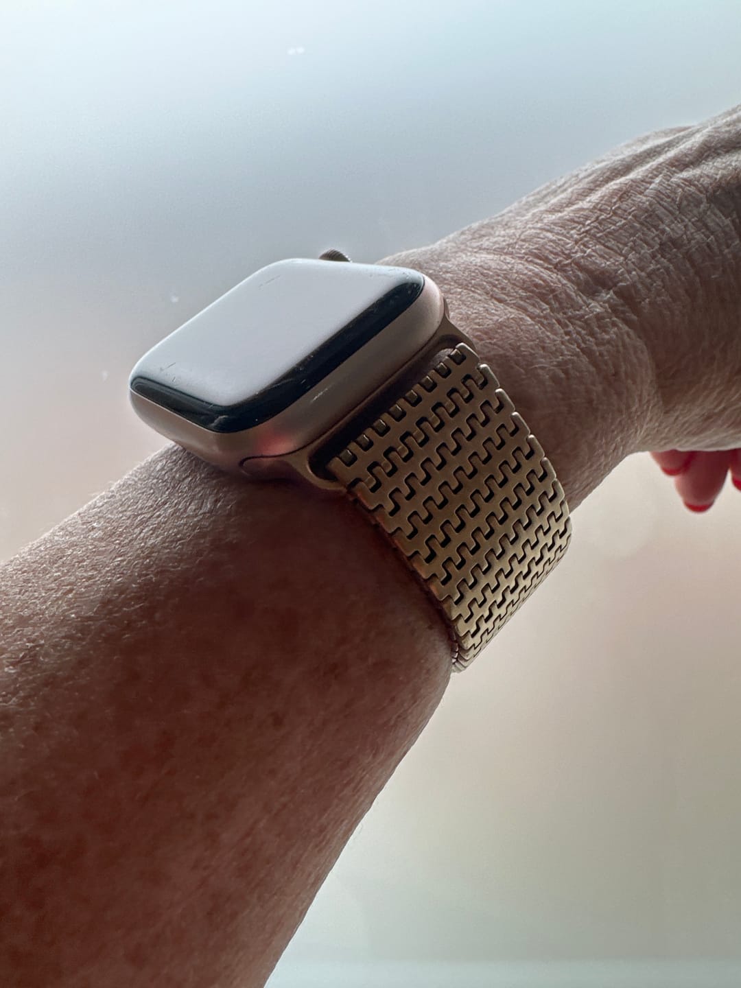 Customer photo review of Stella Magnetic Stainless Band