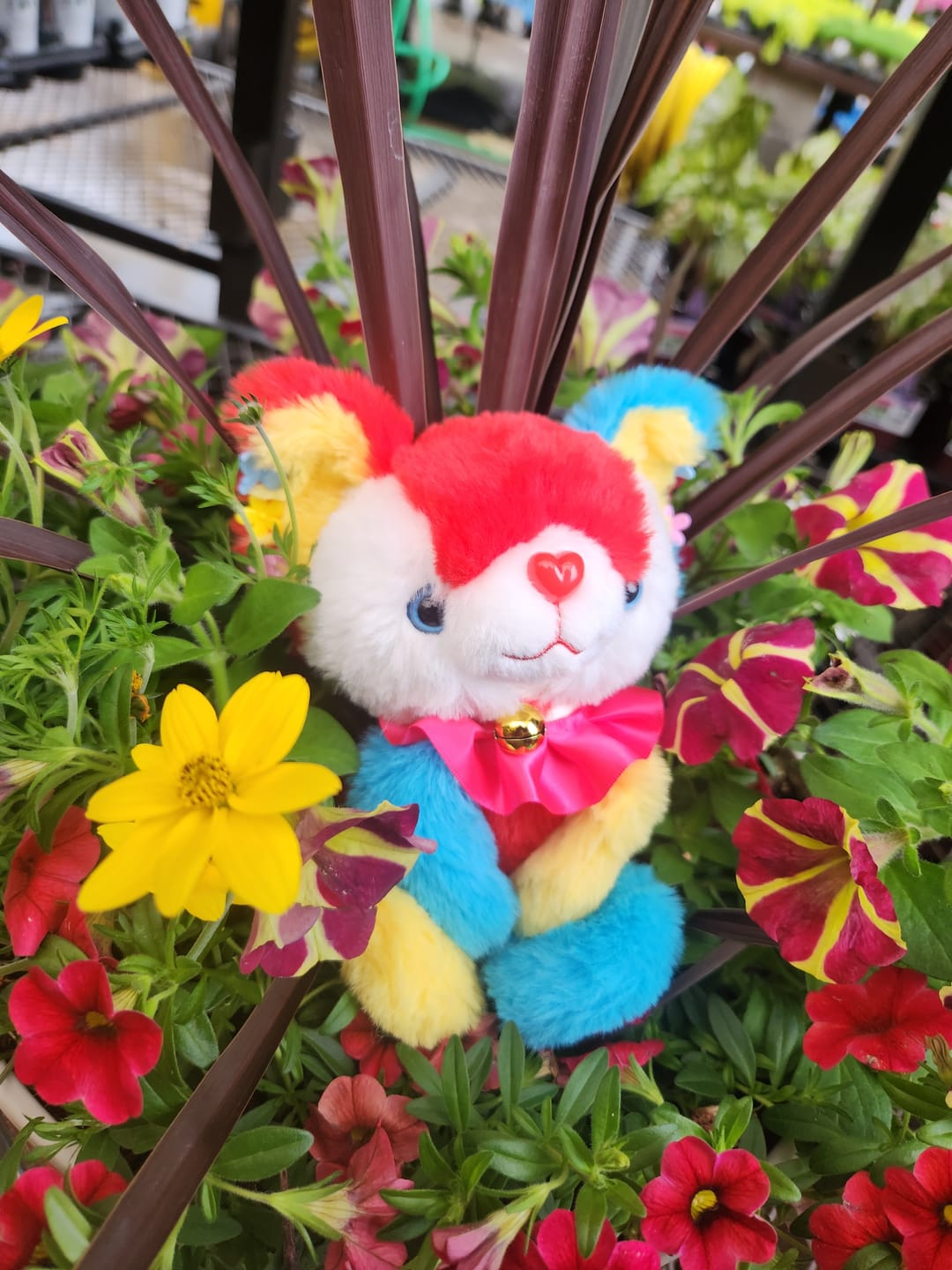 Customer photo review of Magical Noopy2 10” Plush - BonBon [PREORDER]