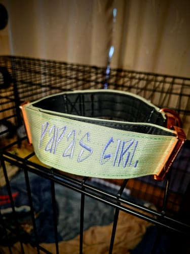 Customer photo review of 2" Tacti Luxe Dog Collar - Rose Gold - Honeydew