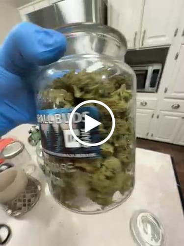 Customer video review of Blue Dream THCA Flower