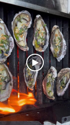Customer video review of Frozen Half Shell Pacific Oyster Box