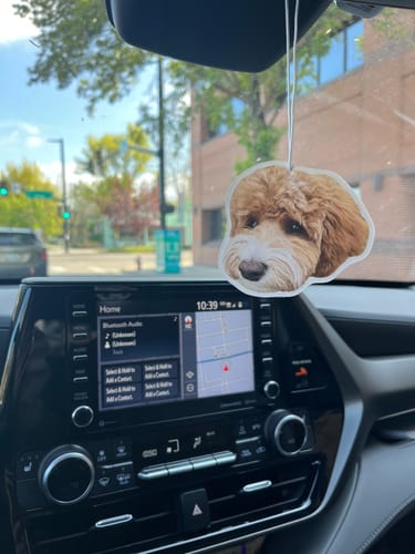 undefined review of Custom Air Freshener image 1 out of 1