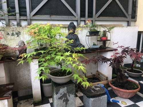 Customer photo review of SUN CB® (Nutrimento Estivo)