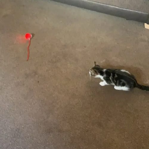 Kundenbewertung – Foto