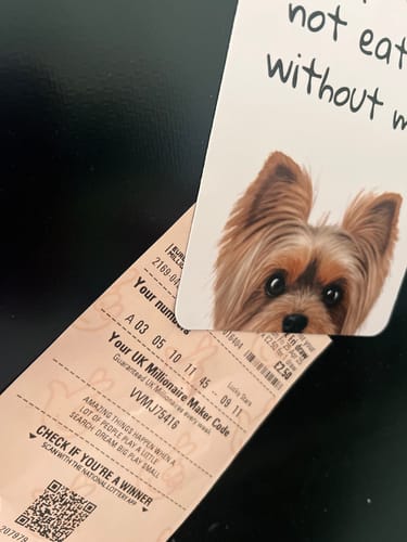 Customer photo review of Yorkshire Terrier Fridge Magnet