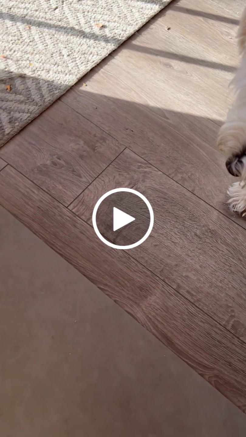 Customer video review of Beef Lung Chunks 1lb
