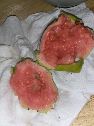 Customer photo review of Tropical Variety Box