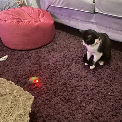 Kundenbewertung – Foto