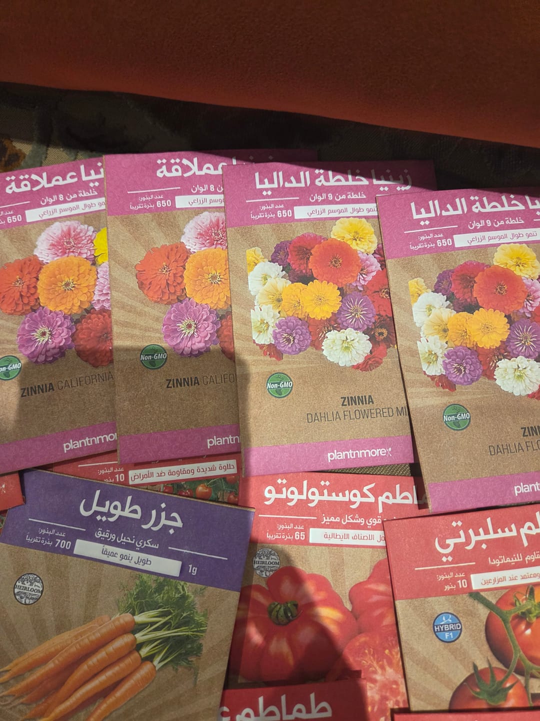 Customer photo review of Zinnia California Giant