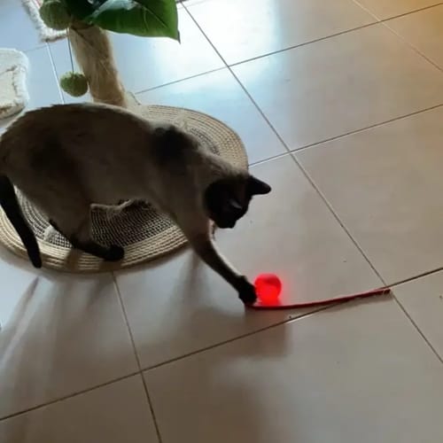 Kundenbewertung – Foto