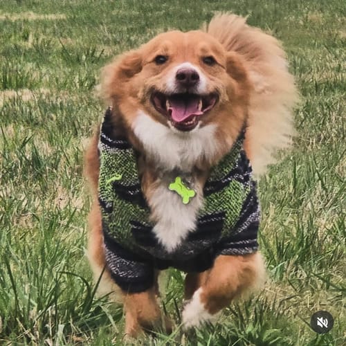 Customer photo review of Playa Poncho - Surprise Color