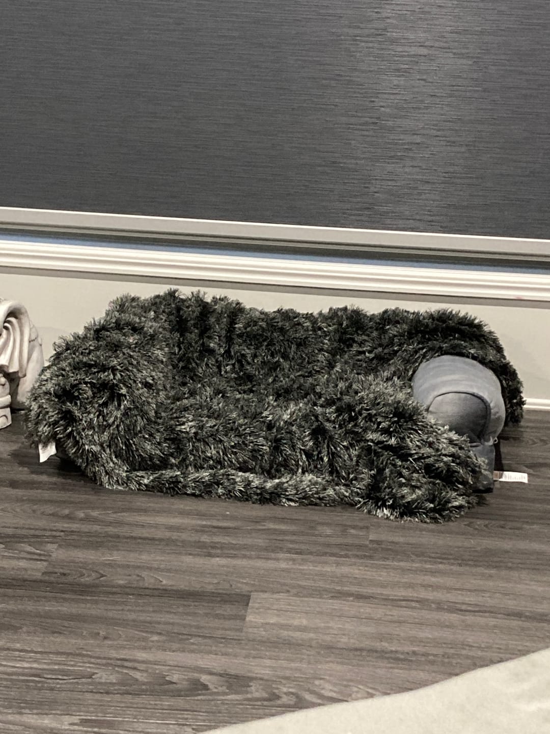 Customer photo review of PaWz Pet Calming Blanket