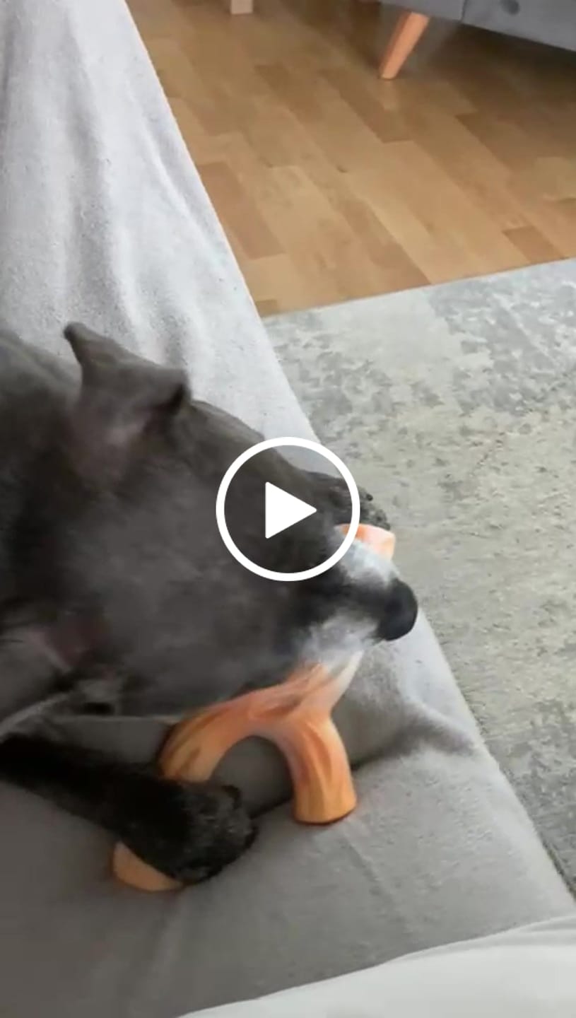 Customer video review of Pupco Nylon Chew Stick