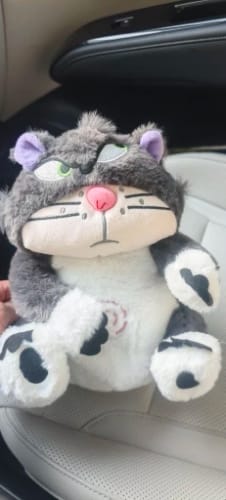 Customer photo review of Leering Cat Breathing Musical Plush Toy