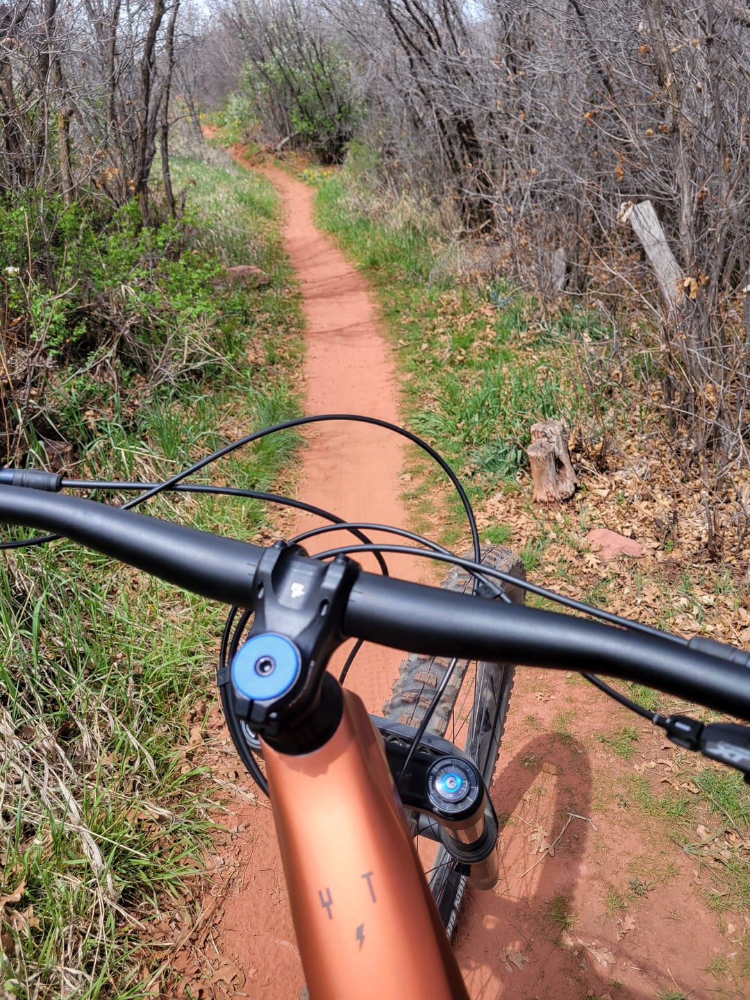 Customer photo review of Anodized Topcap Bolts