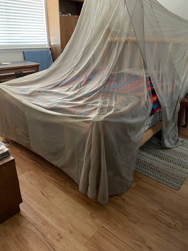 Customer photo review of FaradayLabz™ Silver EMF Protection Bed Canopy