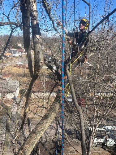 Customer photo review of ARB'O CLIMBING HARNESS