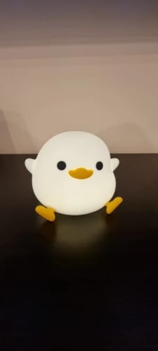 Customer photo review of Duck Silicone Night Lights