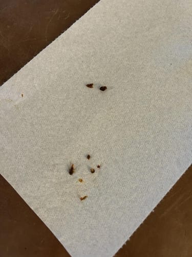 Customer photo review of ClearEar™ Earwax Removal Kit