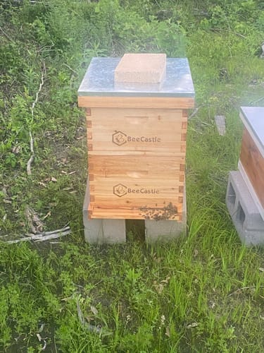 Customer photo review of BeeCastle Hives 10 Frame 4 Layer Complete Cedar Wood Beehive Kit:Designed with 2 Deep Beehive Boxes and 2 Super Bee Boxes,with Premium Wooden Frames and Beeswax Plastic Foundation