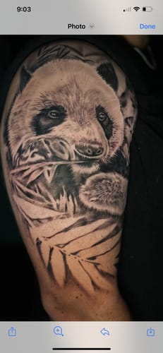 Customer photo review of Unknown Ink Photography Set