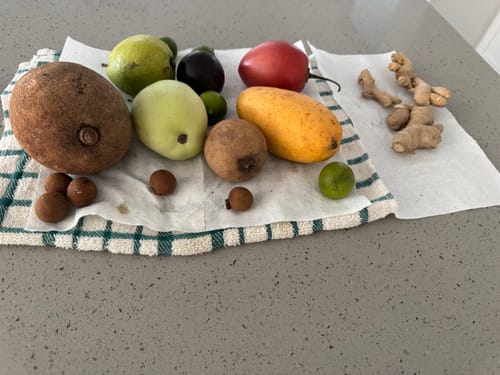 Customer photo review of Tropical Variety Box