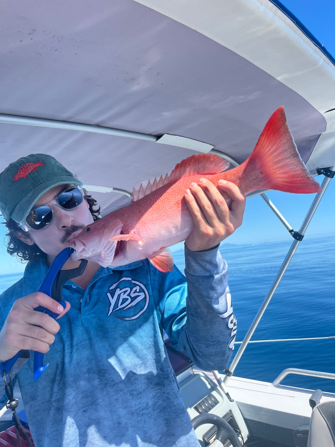 Customer photo review of Coral Trout Lid
