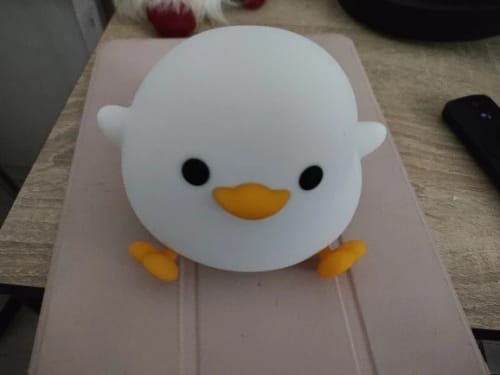 Customer photo review of Duck Silicone Night Lights