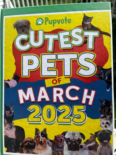 Customer photo review of Cutest Pets of the Month 2025 Photobook