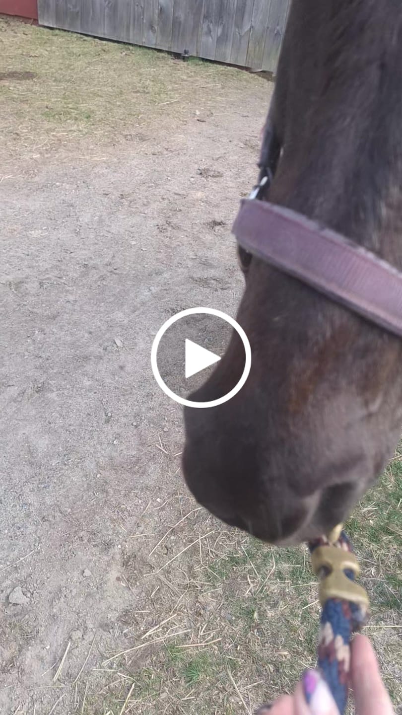 Customer video review of Shine Cleanse, Repel & Gloss Free Sample Kit
