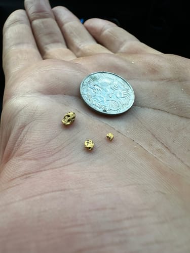 Customer photo review of Minelab GPX 6000 -Most intuitive Gold Detector Find more gold