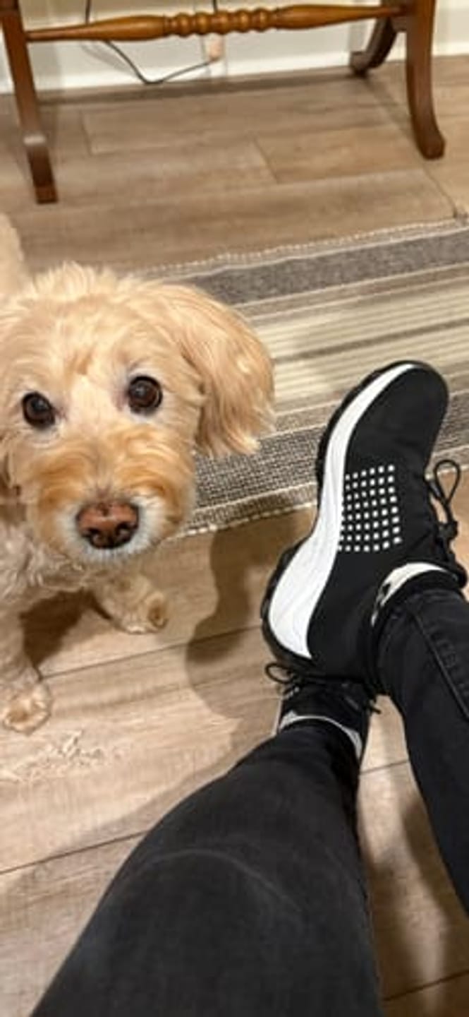 Customer photo review of Ortho Stretch Cushion Shoes Women - (BOGO)