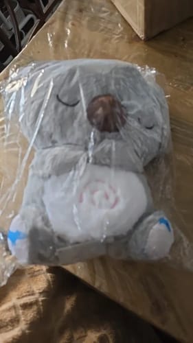 Customer photo review of Koala Breathing Musical Plush Toy
