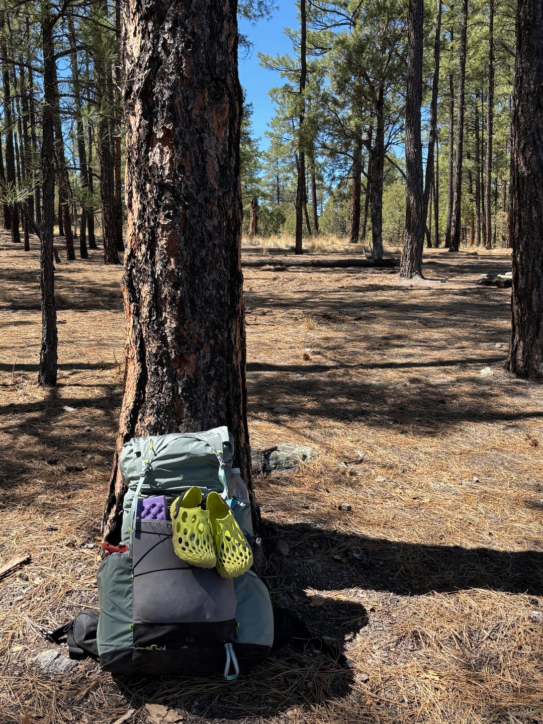 Customer photo review of Mariposa 60 Backpack