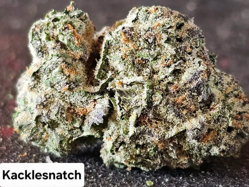 Customer photo review of Gold Spectrum THCA Flower (Connoisseur) - Kacklesnatch