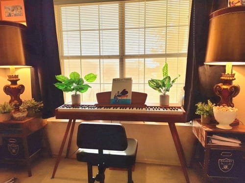 Customer photo review of Donner DDP-80 Upright Digital Piano