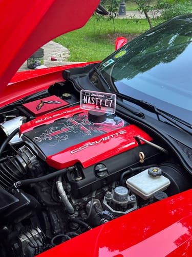 Customer photo review of Led Louisiana License Plate Lamp