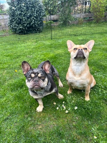 Customer photo review of Multi Vital