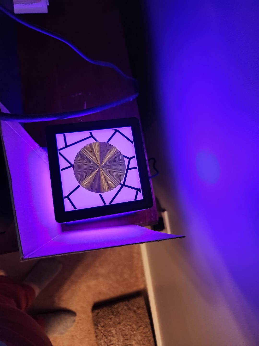 Customer photo review of Replacement Lamp